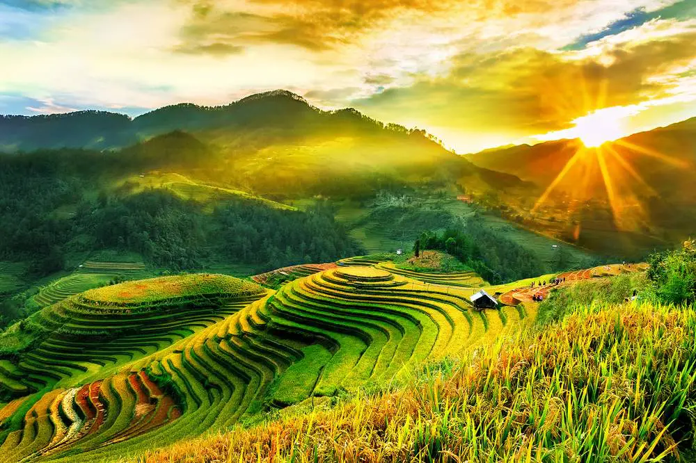 Kinh nghiệm du lịch Sa Pa 2024 từ A-Z: di chuyển, ăn chơi, địa điểm đẹp