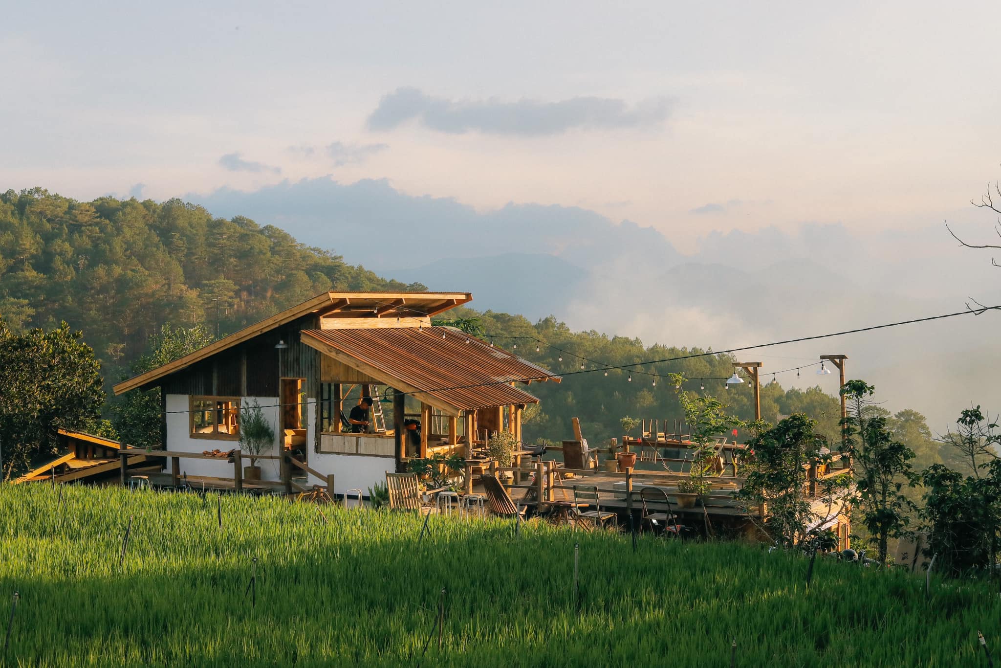Đưa bé đi Đà Lạt - vui chơi và khám phá thiên nhiên