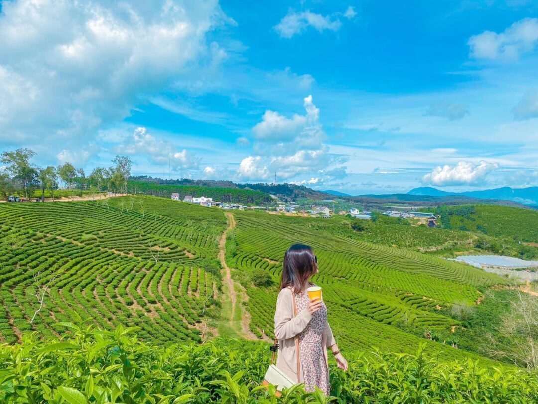 Khám phá Đà Lạt 3 ngày 2 đêm - lịch trình mới nhất
